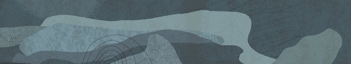 Banner del prodotto