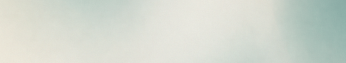 Banner del prodotto
