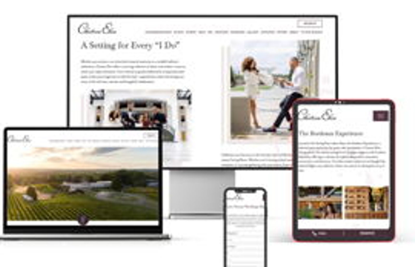 Screenshot image