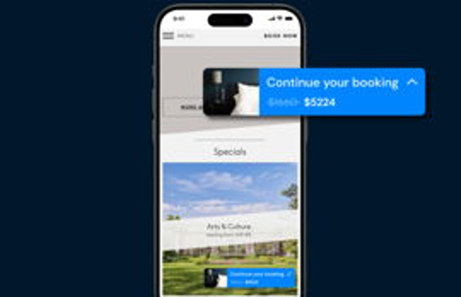 Screenshot image