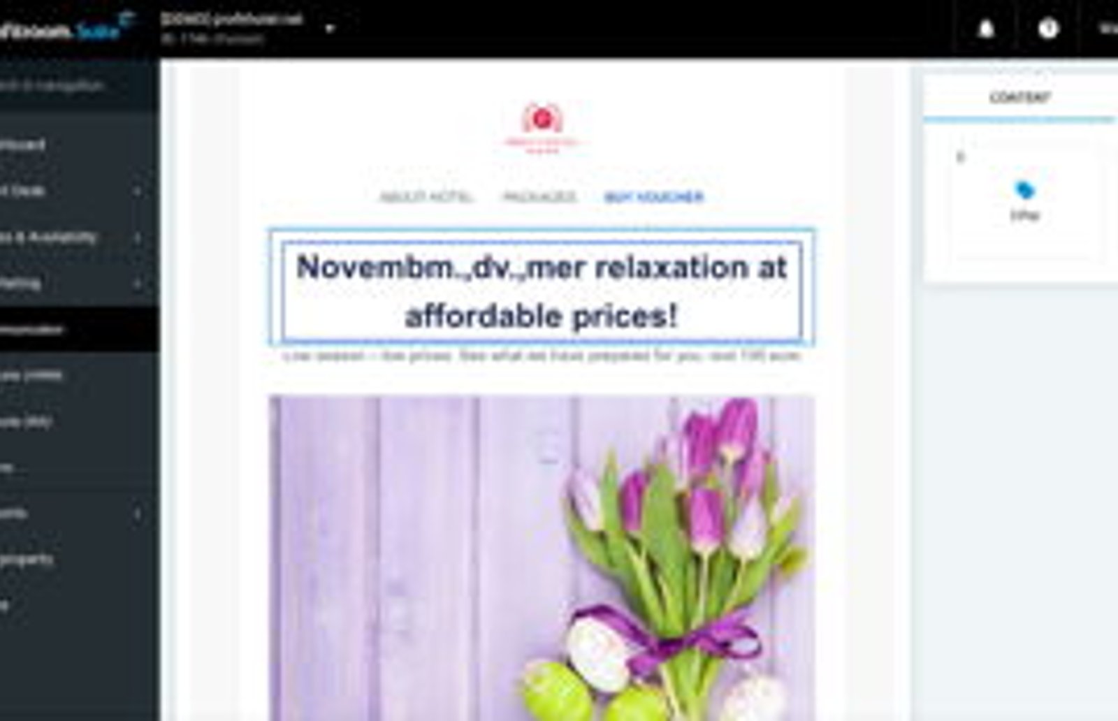 Screenshot image