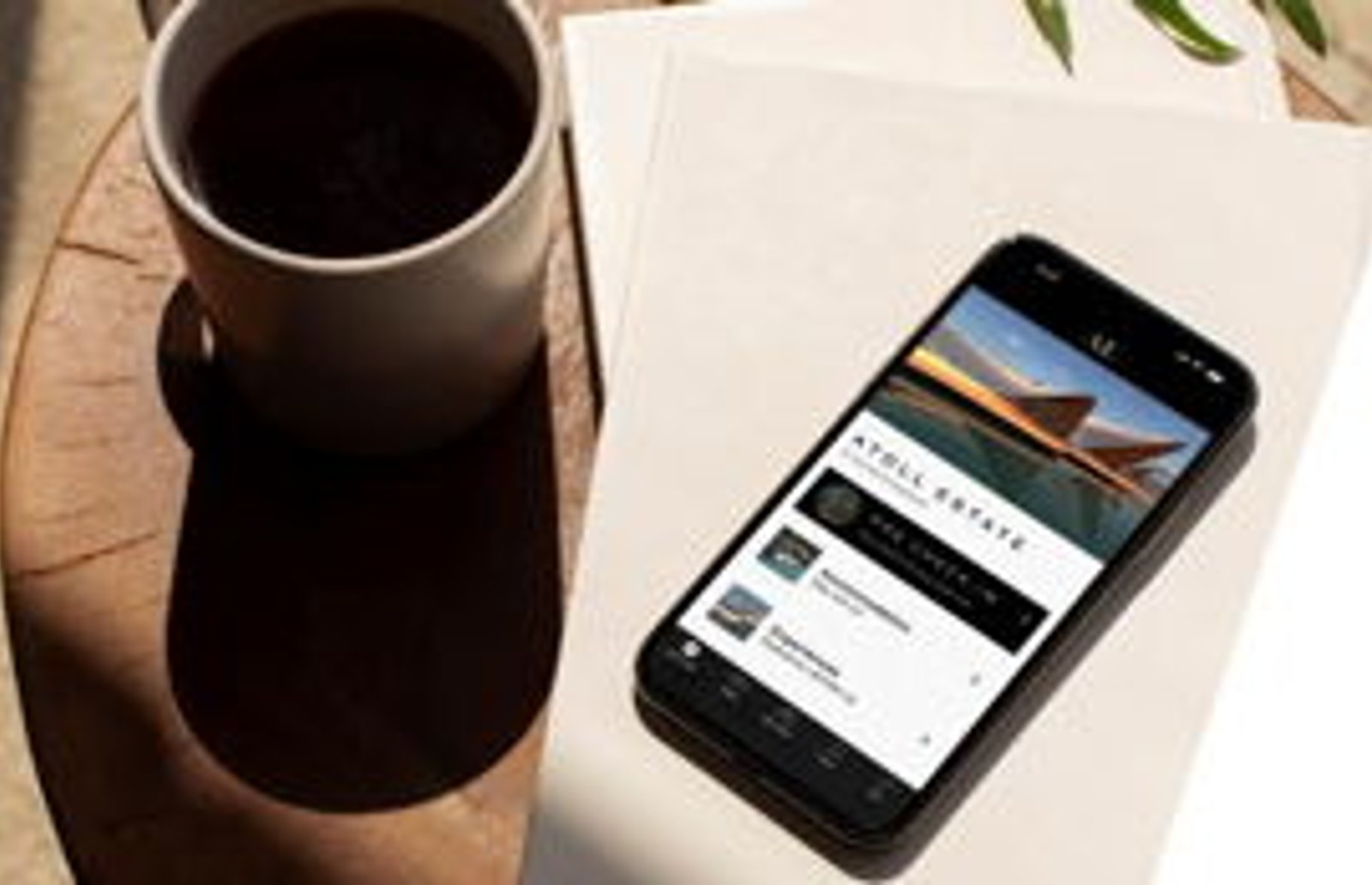 Screenshot image