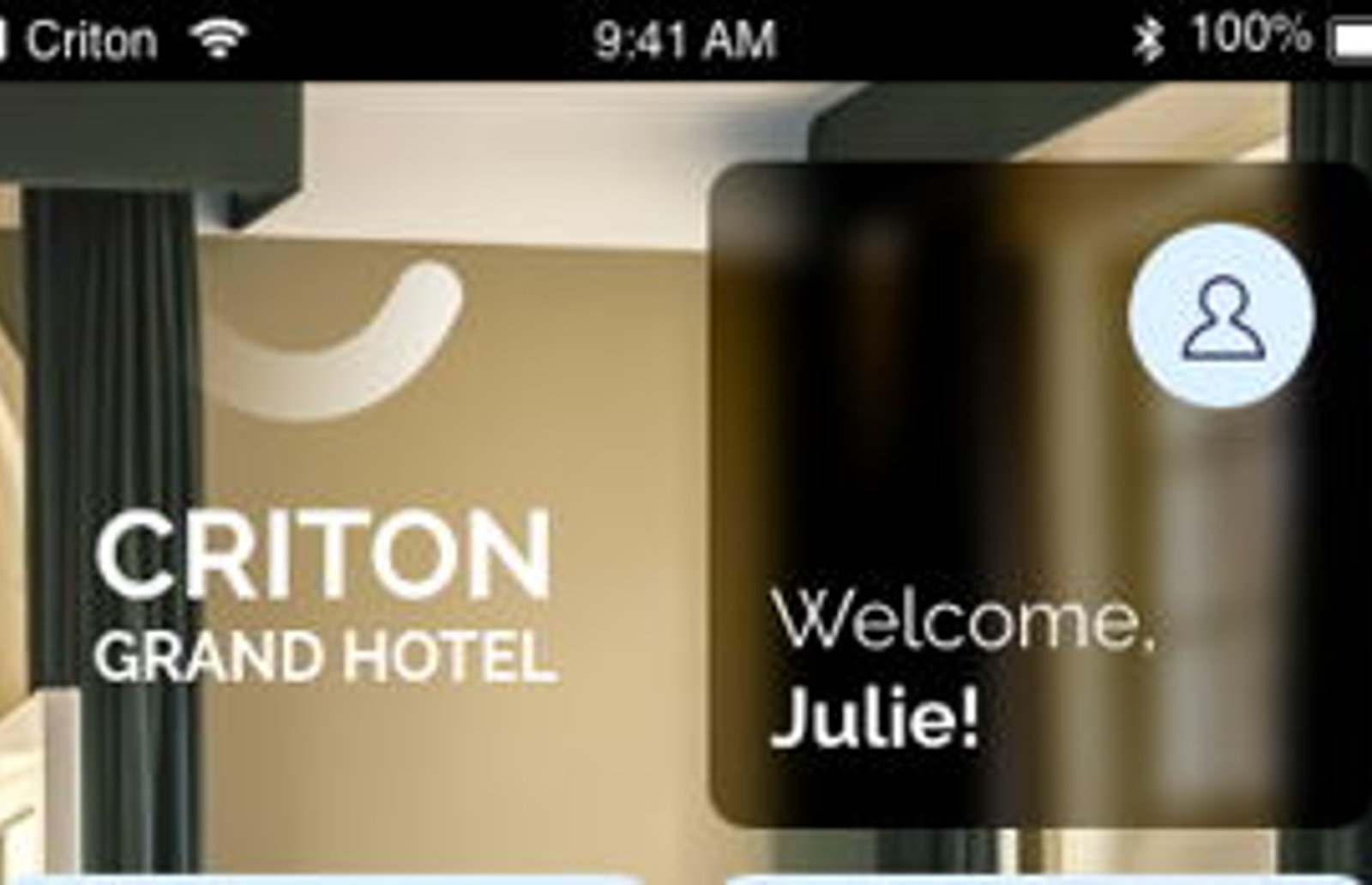 Screenshot image