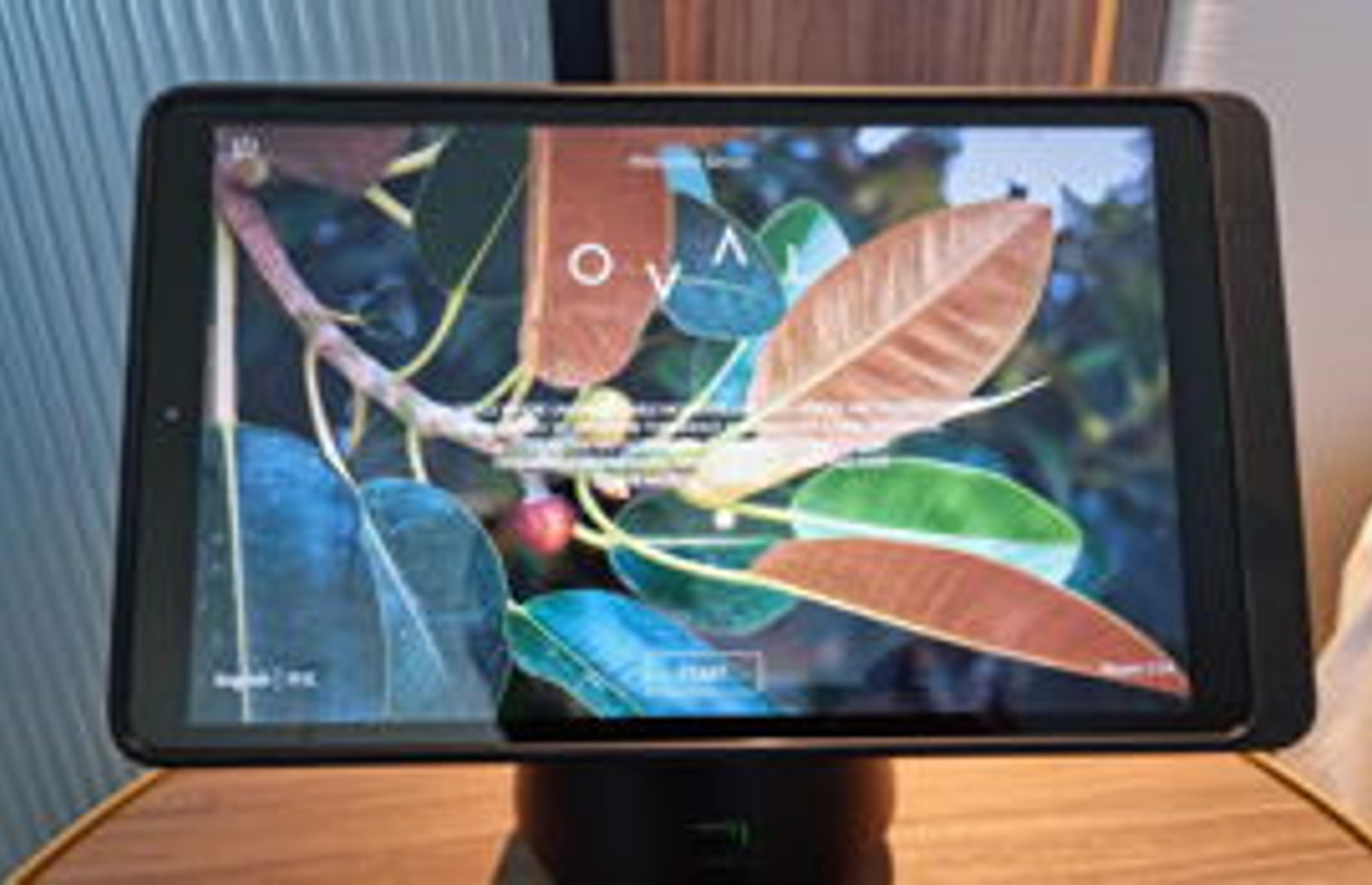Screenshot image