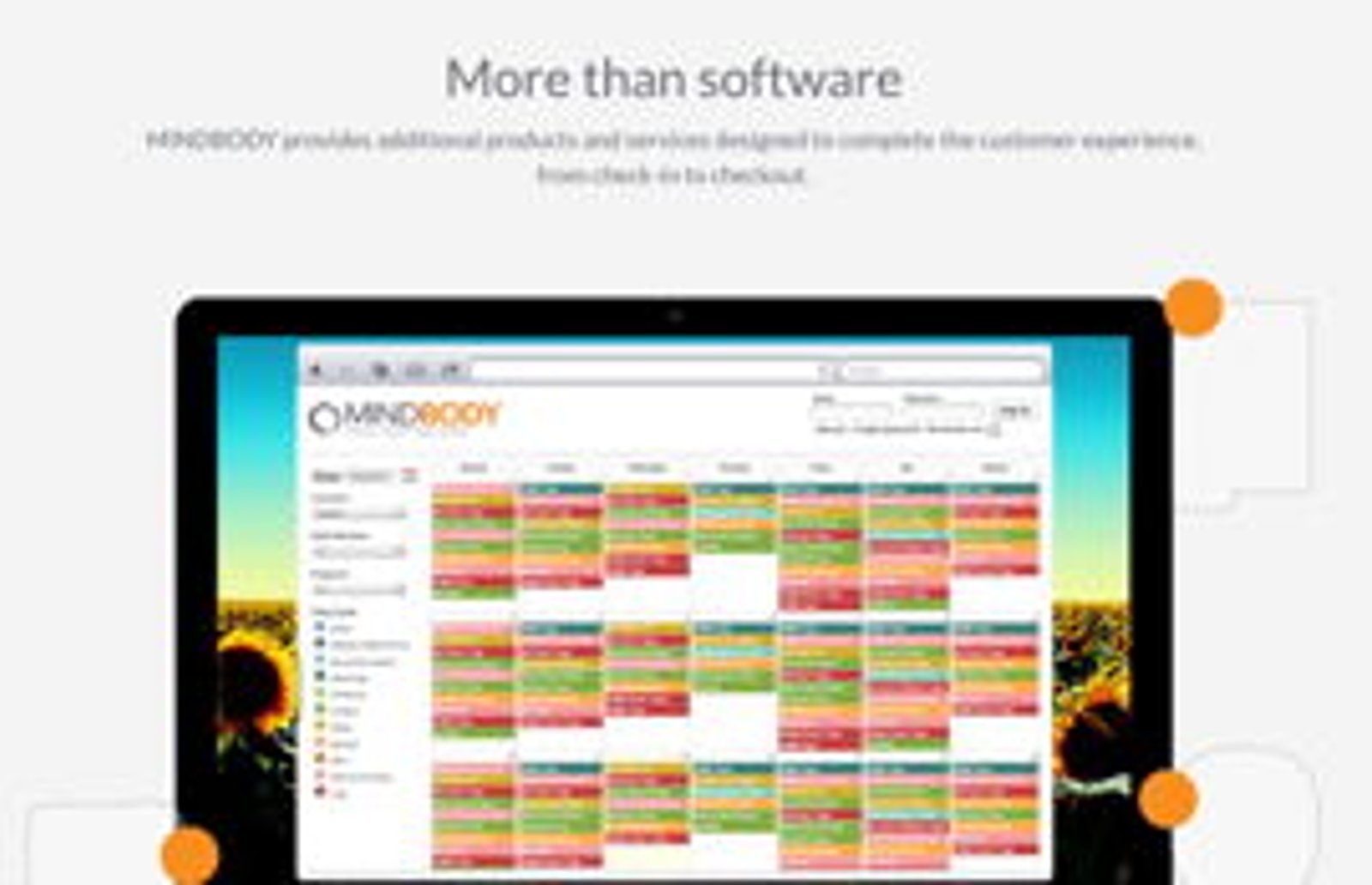 Screenshot image