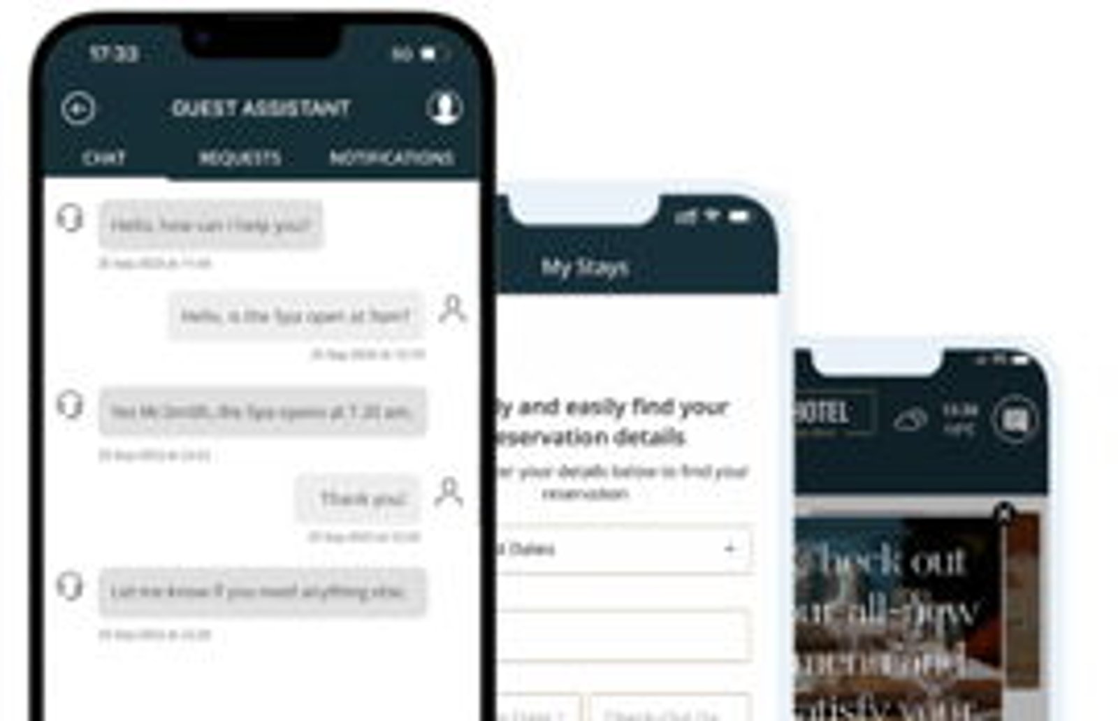 Screenshot image