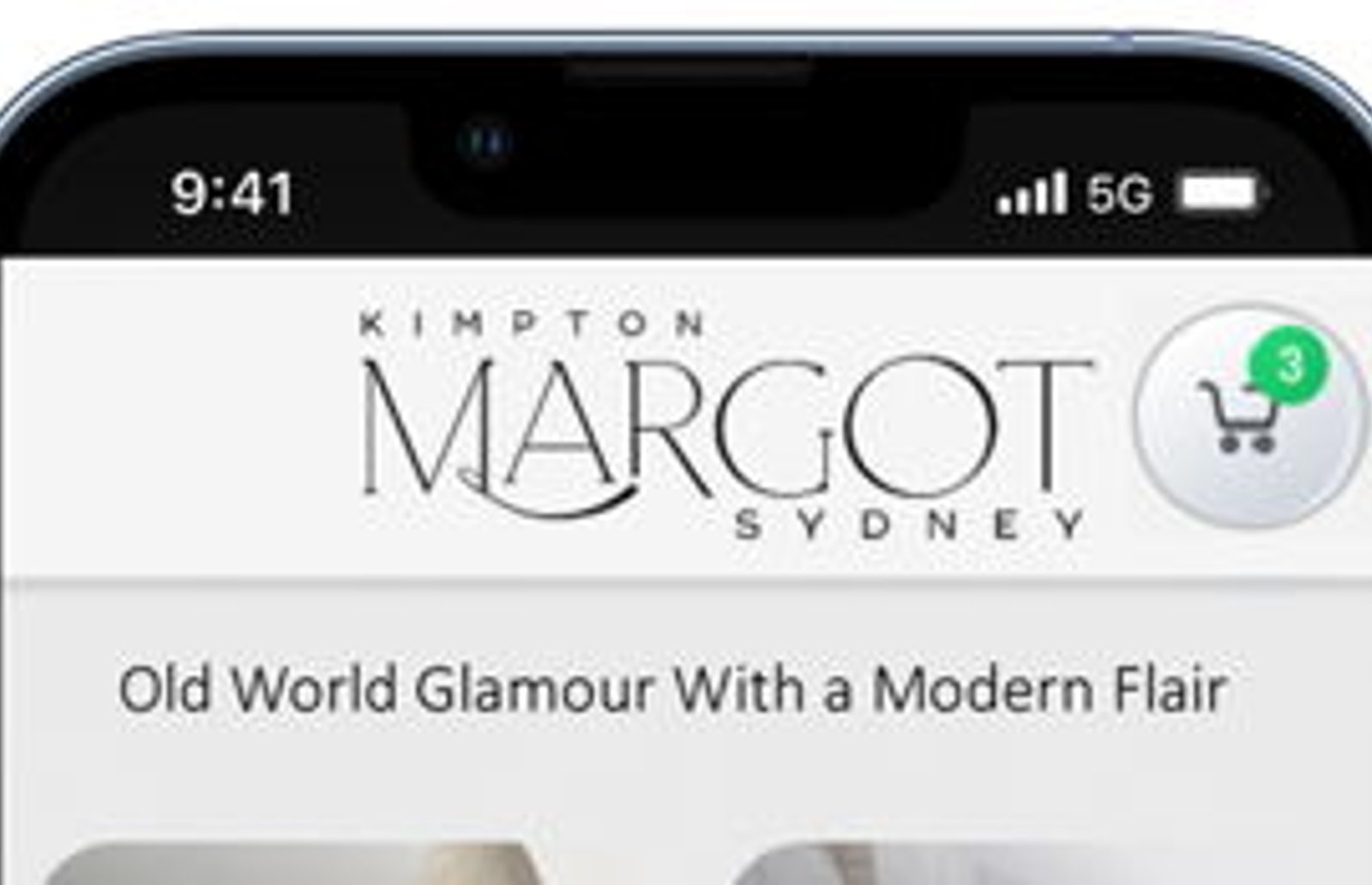 Screenshot image