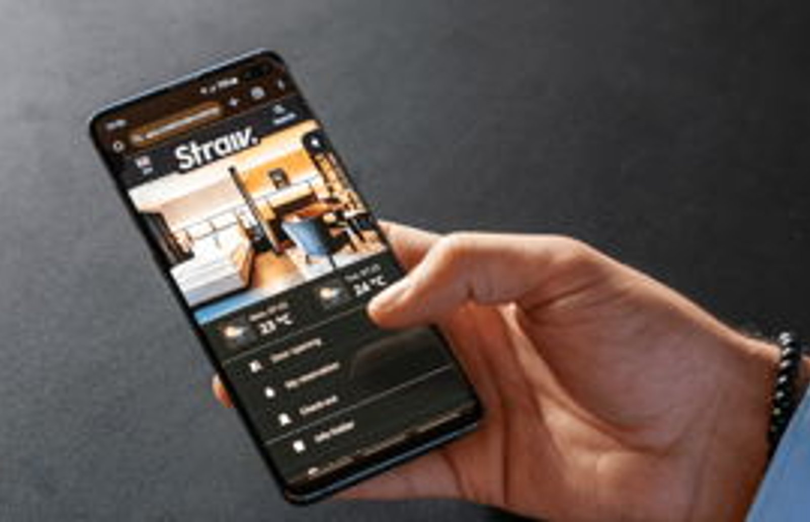 Screenshot image