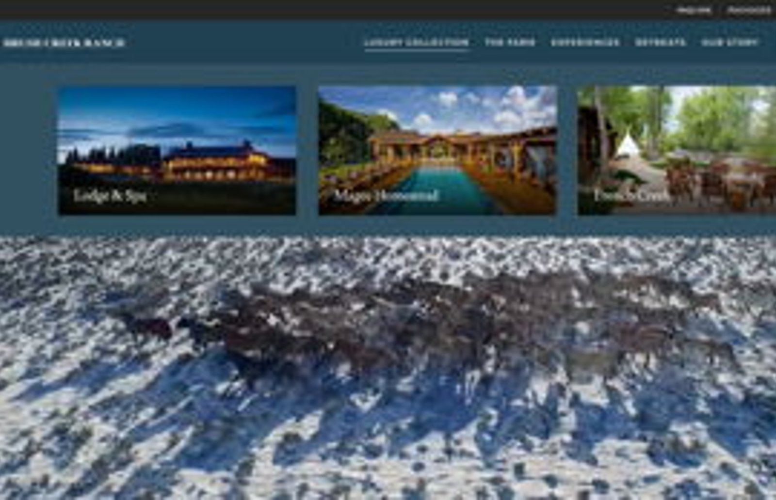 Screenshot image