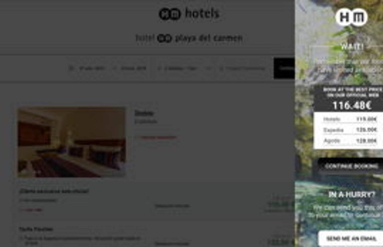 Screenshot image