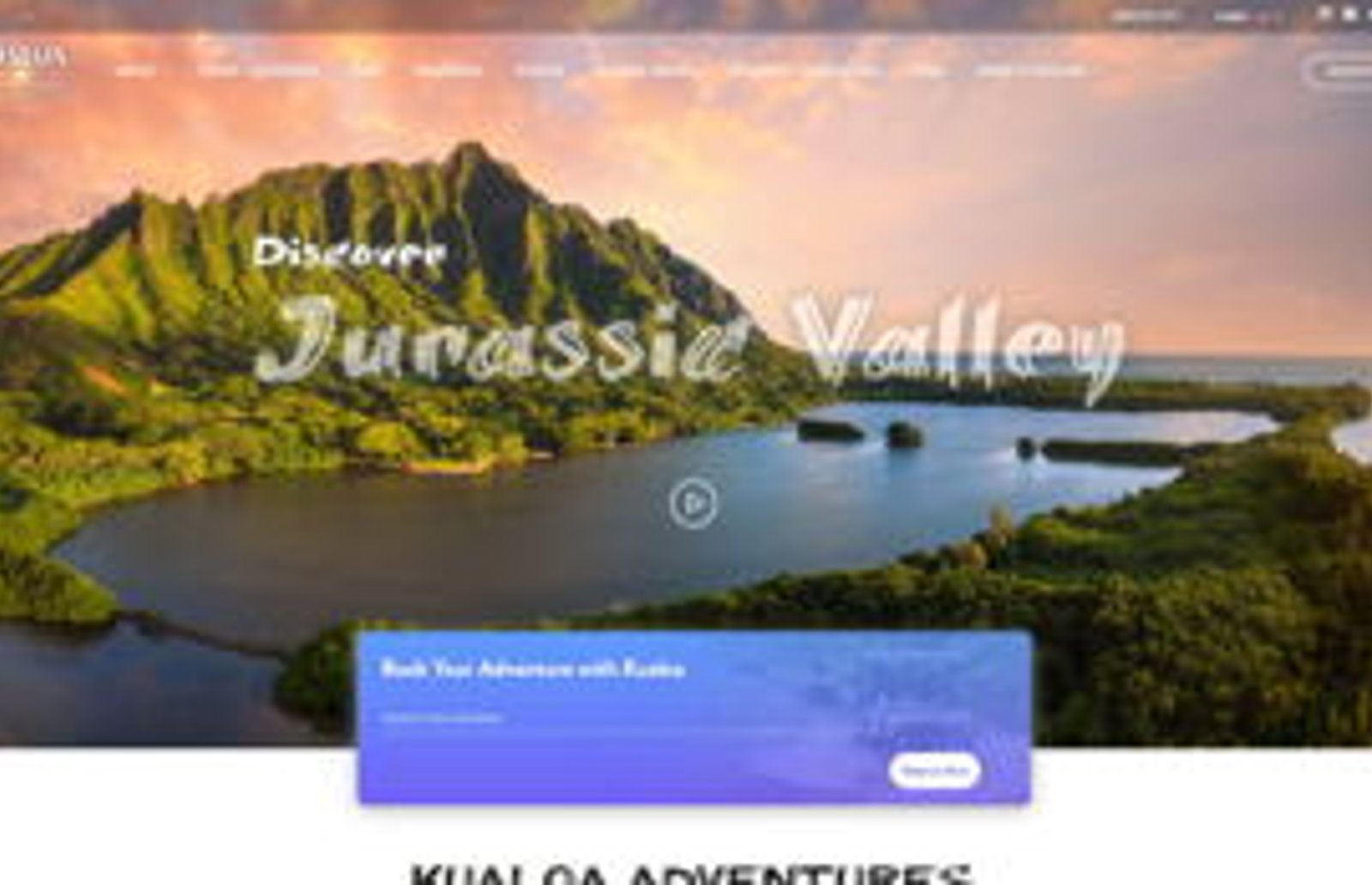 Screenshot image