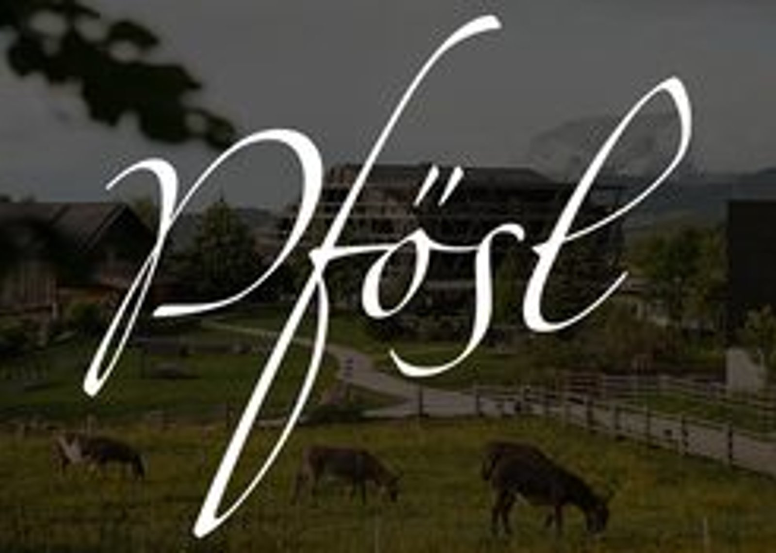 Brand image