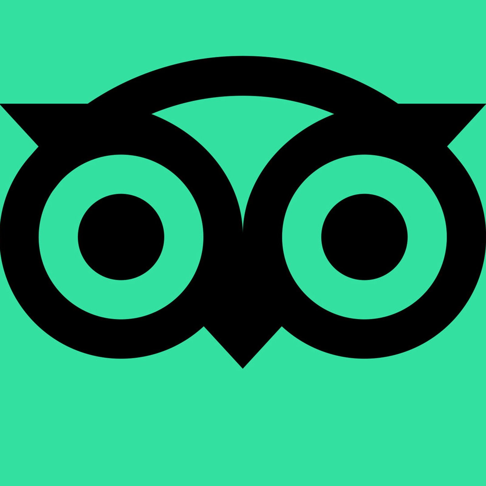 Tripadvisor (Business Advantage)
