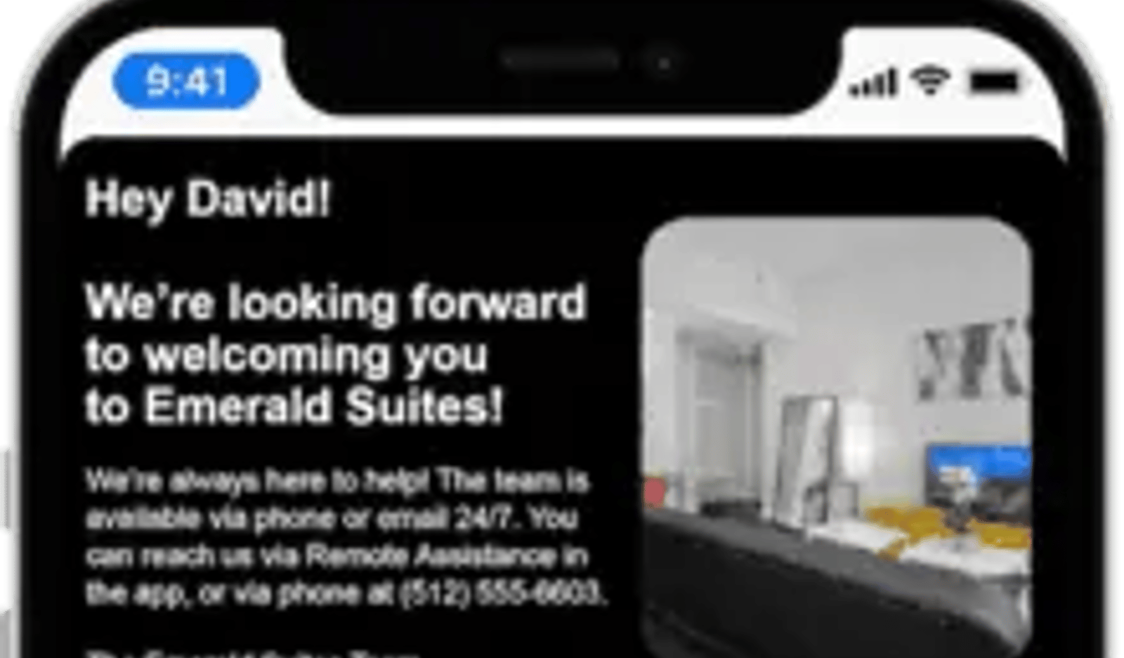 Screenshot image