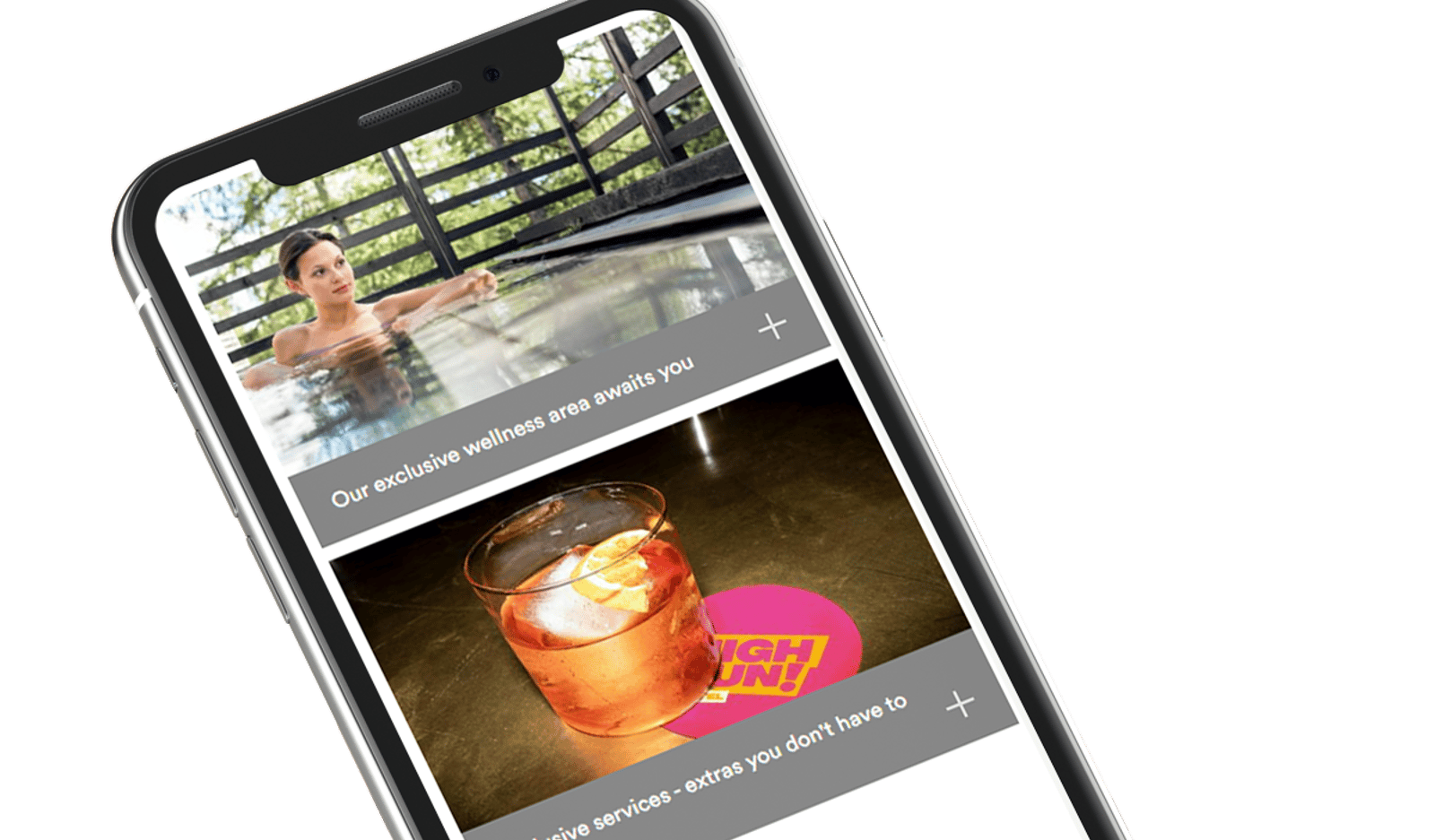 Screenshot image