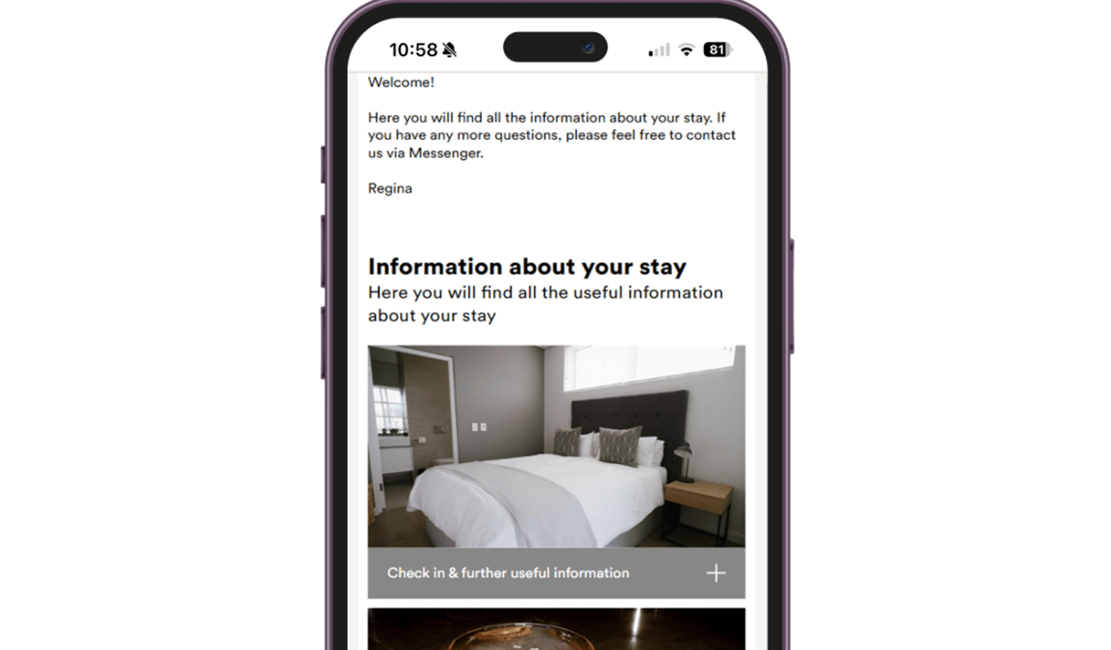 Screenshot image