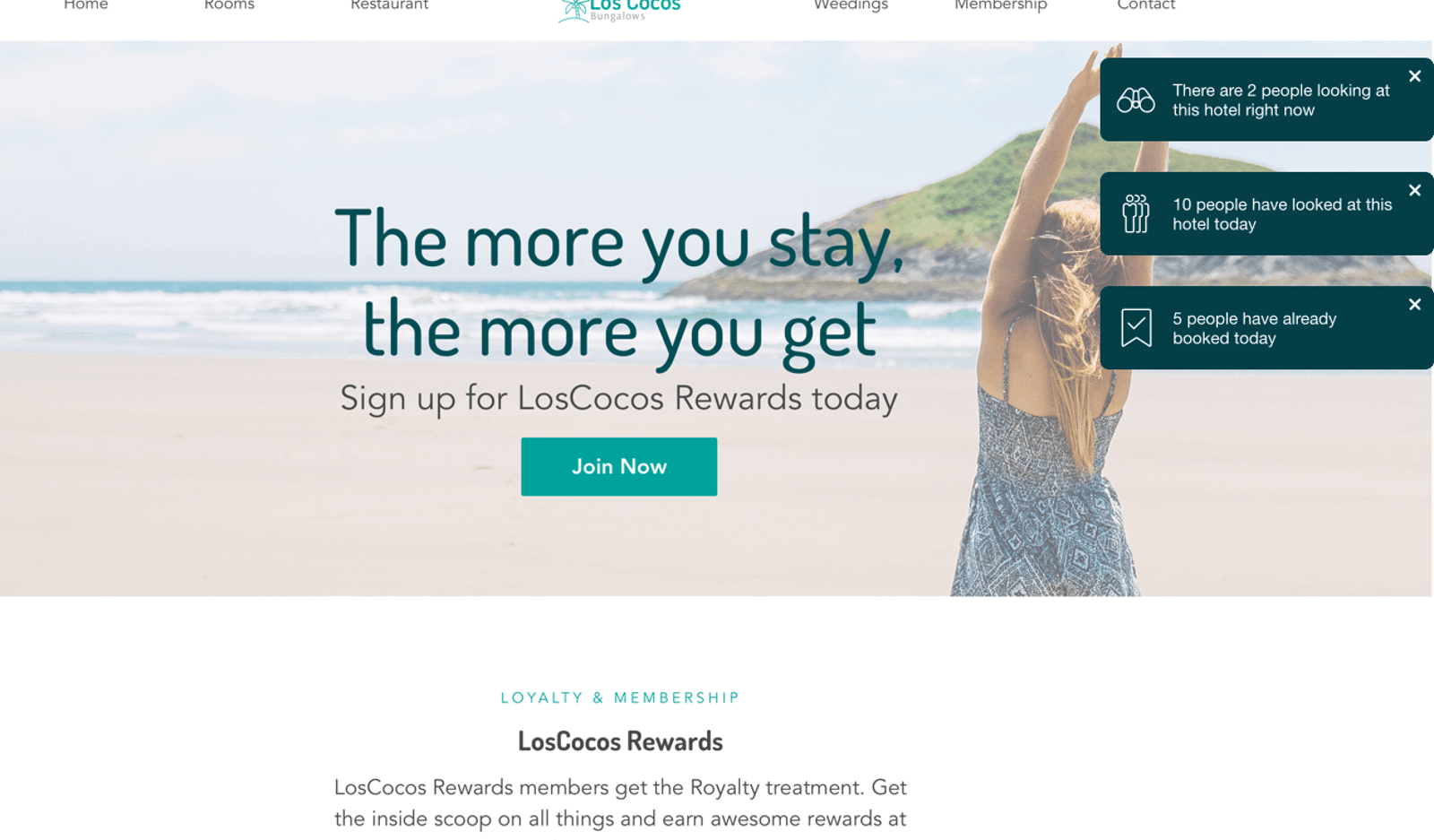 Screenshot image