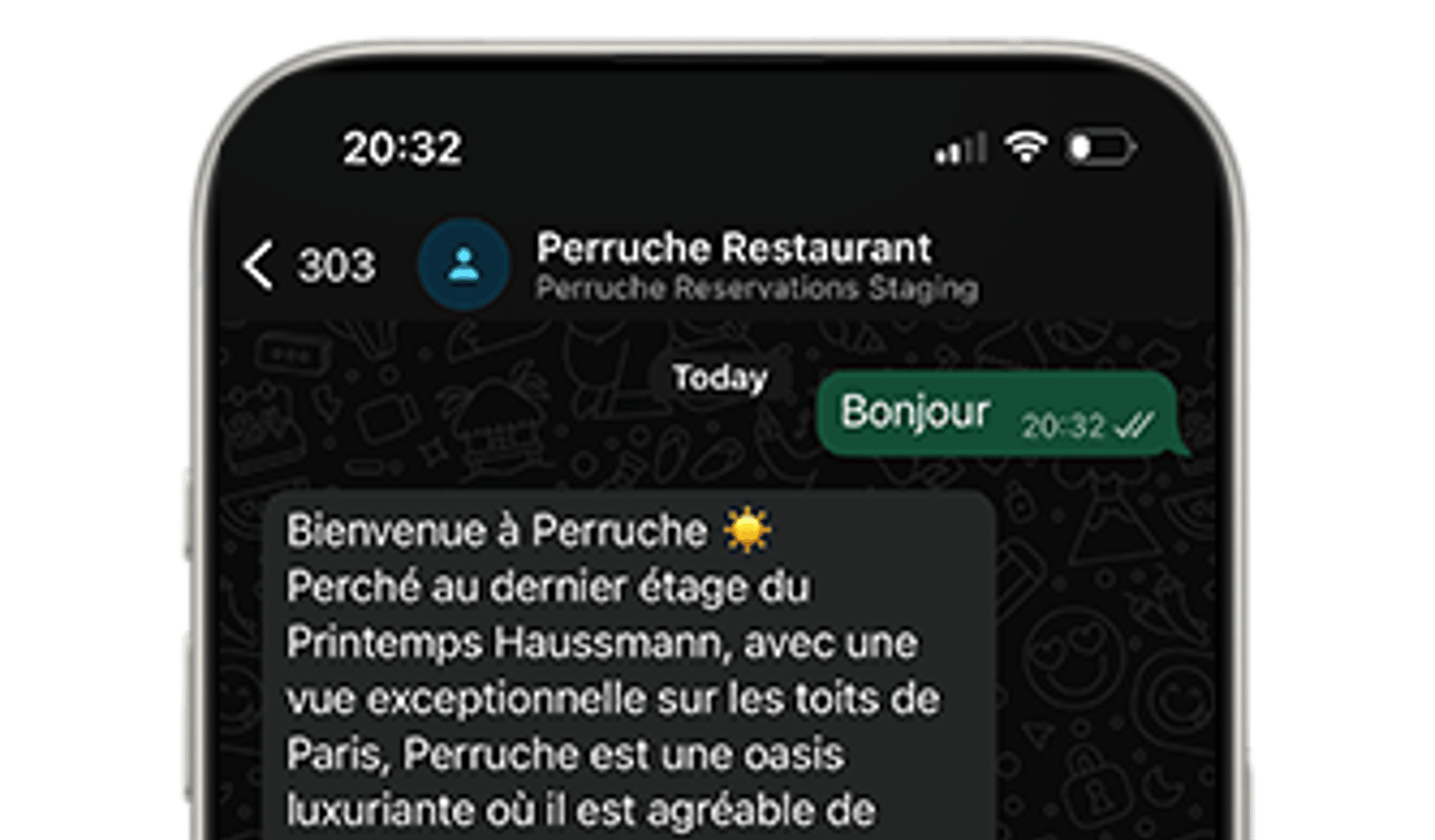 Screenshot image