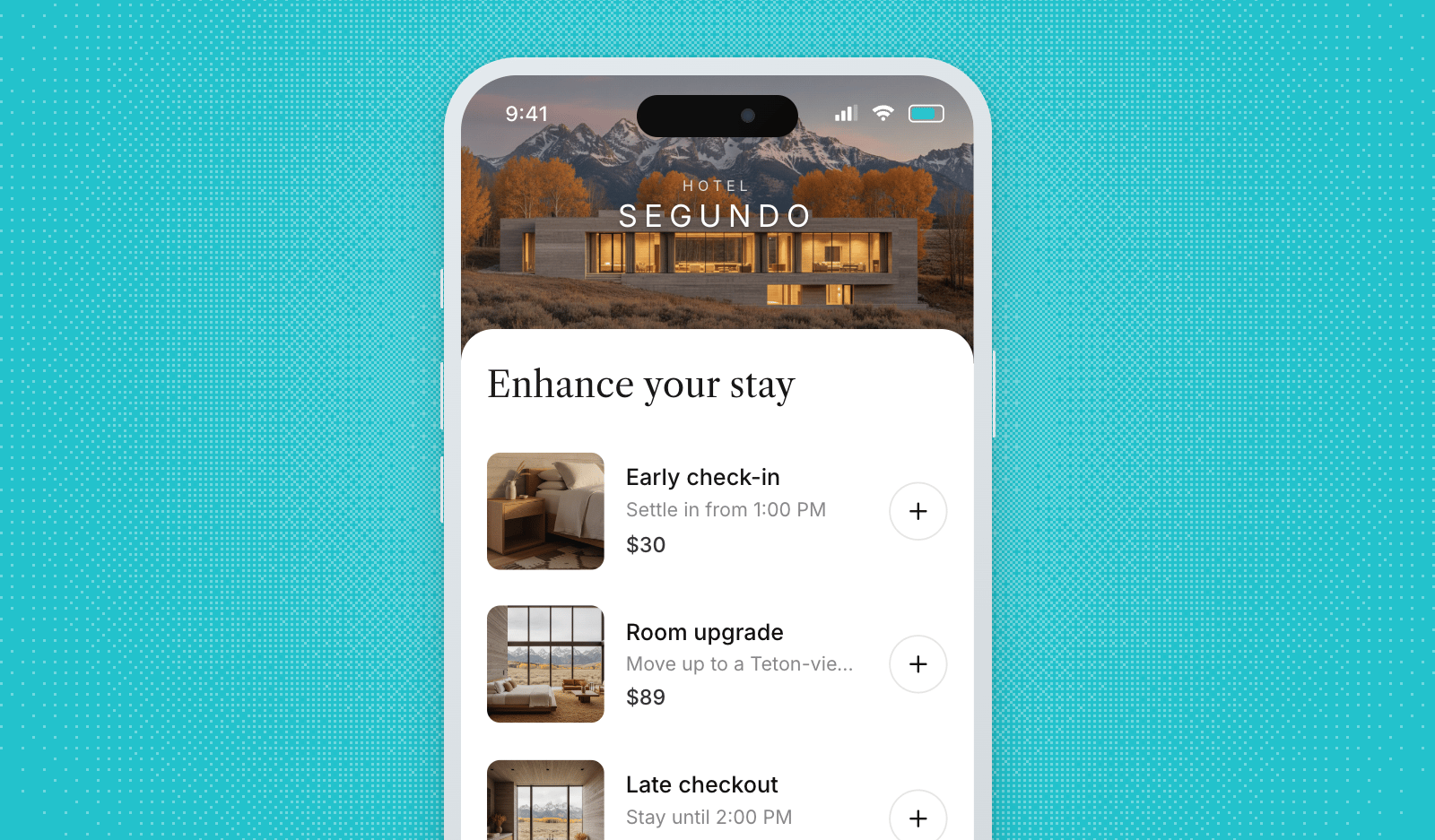 Screenshot image