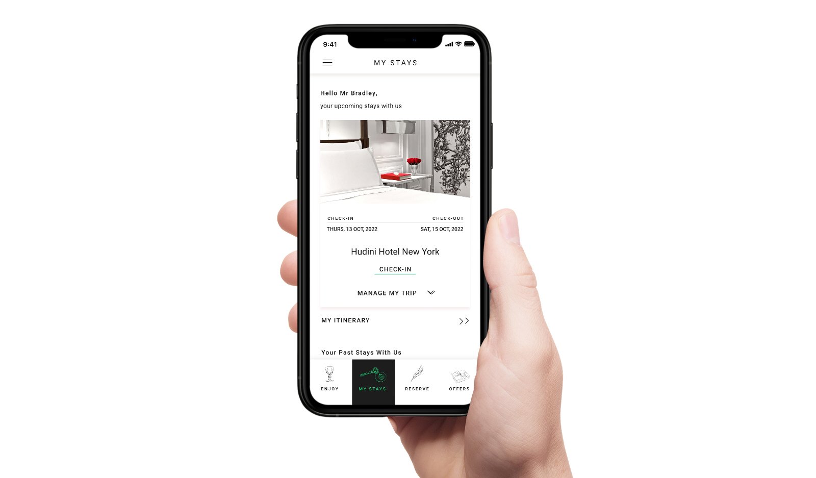 Screenshot image