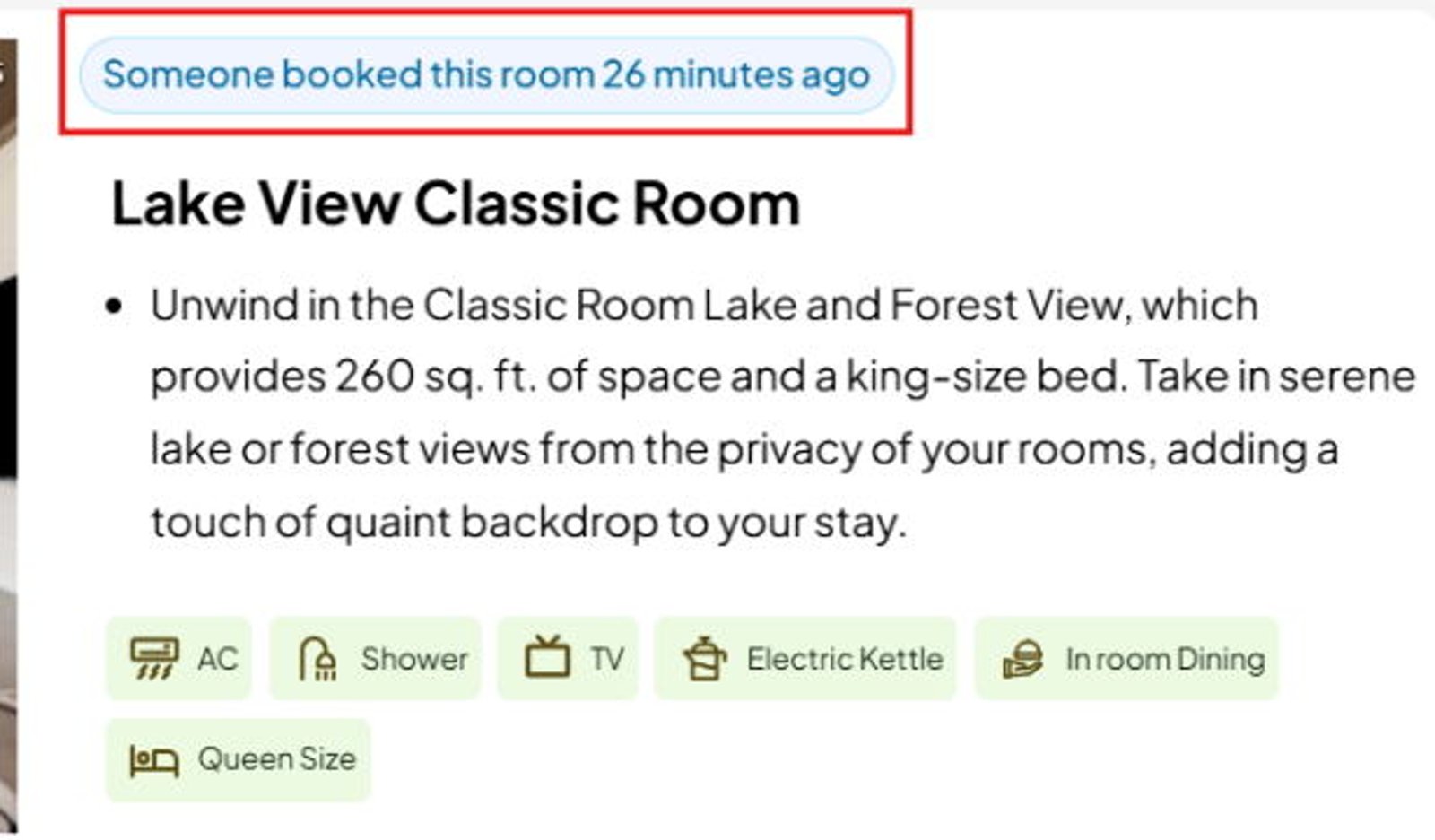 Screenshot image