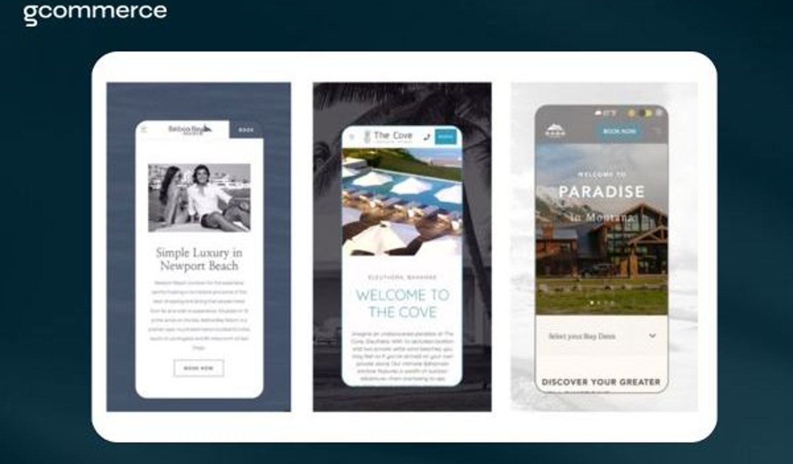 Screenshot image
