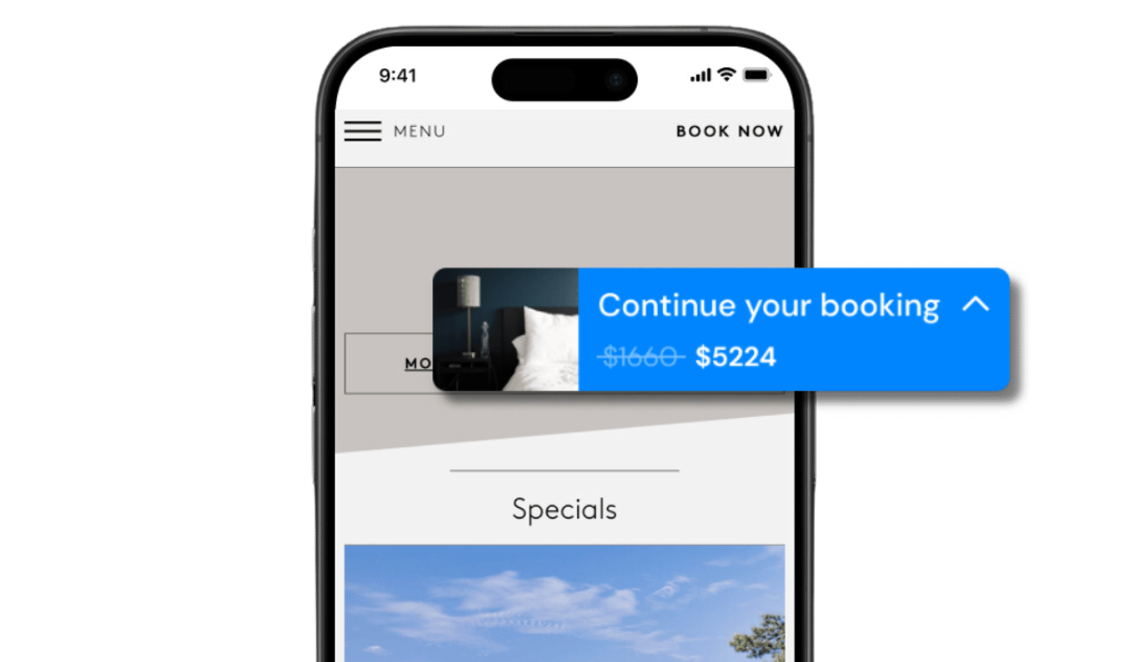 Screenshot image