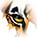 TigerTMS
