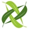 Product logo