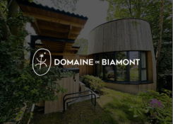 Brand image