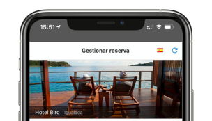 Screenshot image
