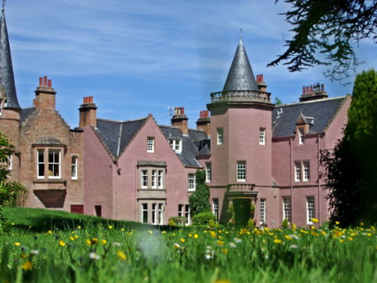 Case study header image