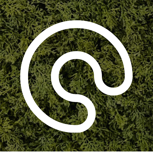 DigitalGuest