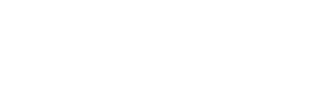 Professionell gestaltetes Website-Design für alle Geräte